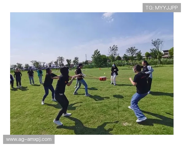 全面解析六合彩官网真人游戏的玩法技巧与最新优惠活动推荐